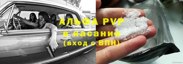 ECSTASY Алзамай