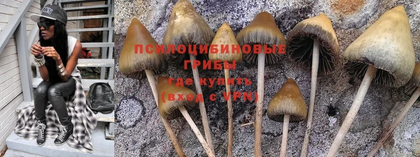 ECSTASY Алзамай