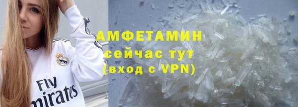 сатива Аркадак