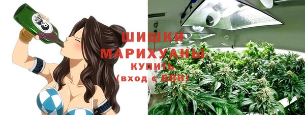 сатива Аркадак