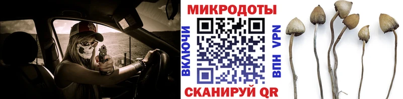 Псилоцибиновые грибы прущие грибы  мега вход  Волгодонск 