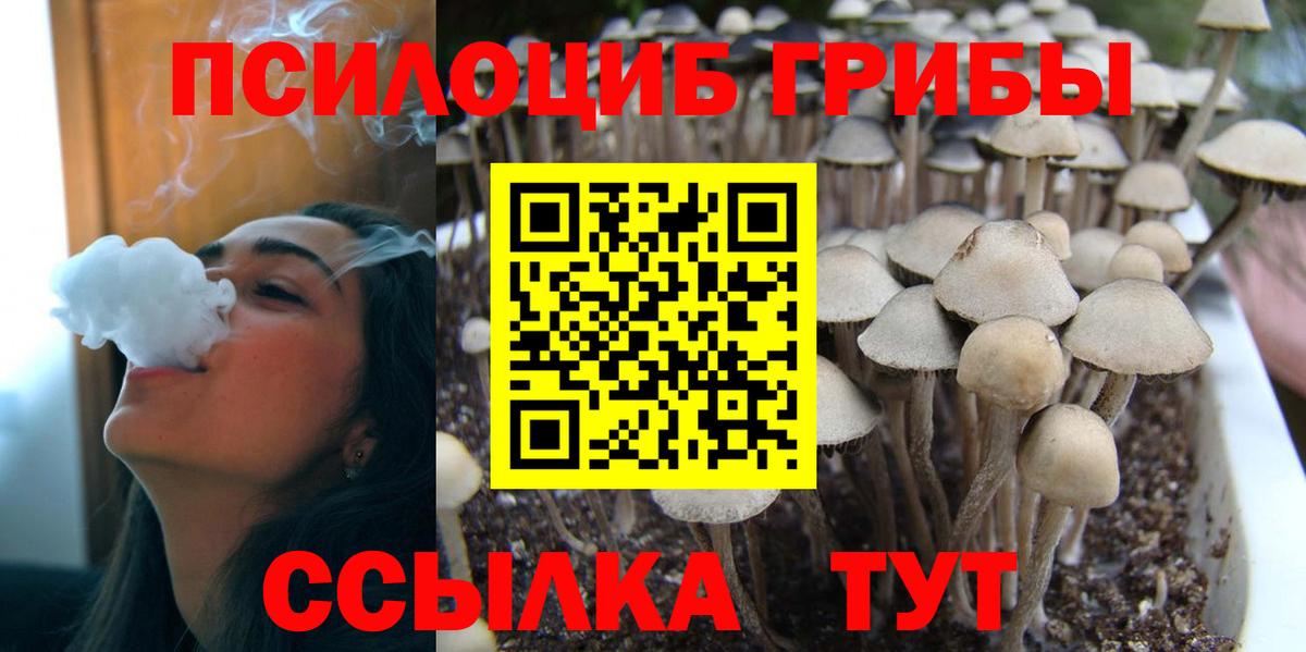 Галлюциногенные грибы Cubensis Волгодонск